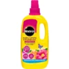 Miracle-Gro Azalea, Camellia & Rhododendron Concentrated Liquid Plant Food - 1L -Garden Furniture Store 12804885 1764842795534435