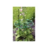 Plant Support Ring 1 Plant Support Ring -Garden Furniture Store 12809611 1334831954034592