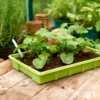 Seed Trays (Pack Of 4) 2 Seed Trays (Pack Of 4) -Garden Furniture Store 12813215 1605037974365701