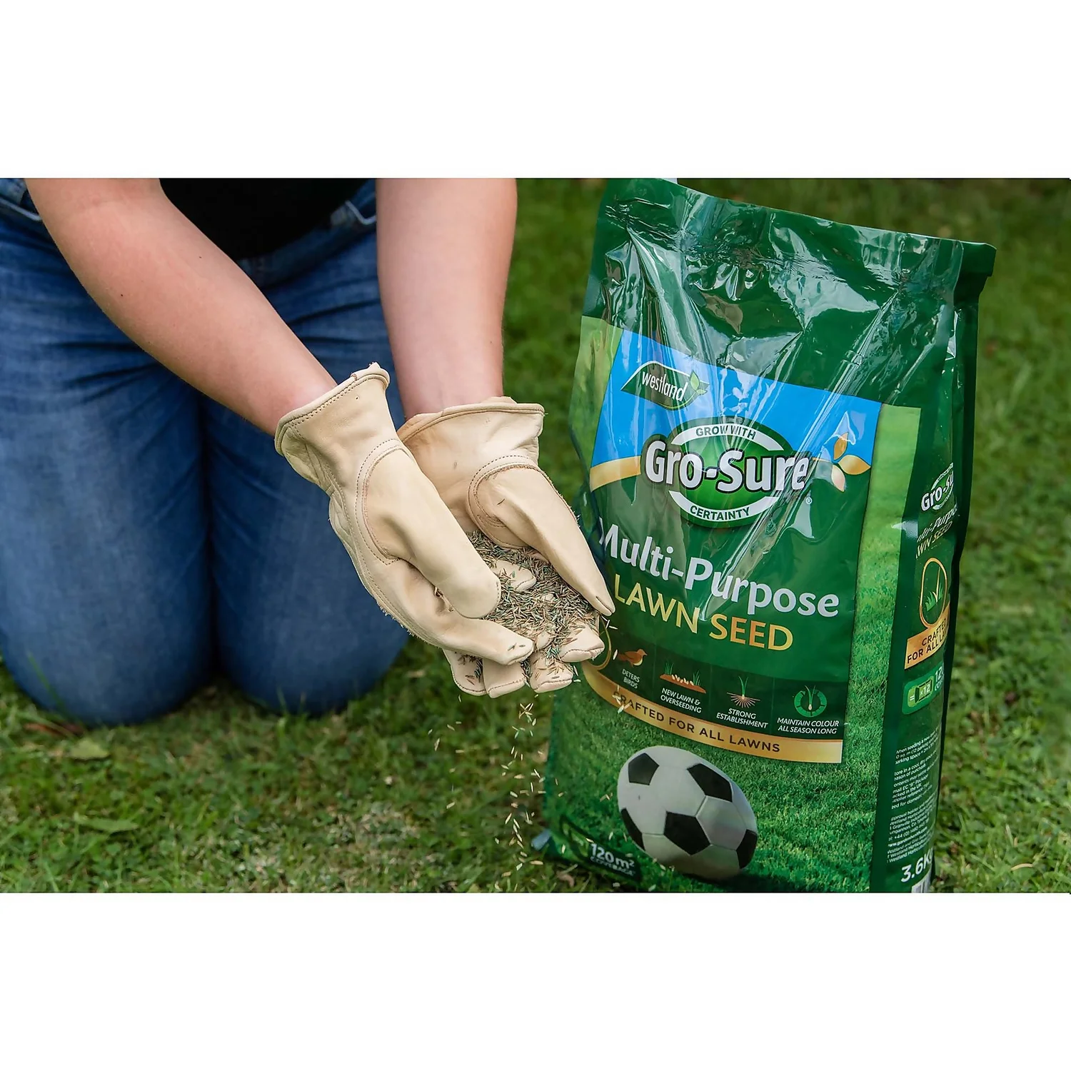 Gro-Sure Multi-Purpose Lawn Seed 120m² 4 Gro-Sure Multi-Purpose Lawn Seed 120m² - Image 2