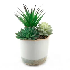 Dipped Ceramic Pot With Plant - Green