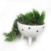 Trailing Plant In White Pot With Legs -Garden Furniture Store 12833718 6054831603897446
