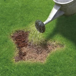 Miracle-Gro Patch Magic Grass Seed, Feed & Coir - 48 Patch Bag -Garden Furniture Store 12841642 1784927305573390