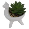 Artificial Alpaca Flower Succulent -Garden Furniture Store 12879280 8804858347936726