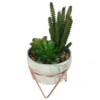 Artificial Succulent In Rose Gold Stand -Garden Furniture Store 12879282 4604858348076790