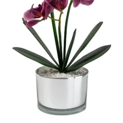 Orchid With Silver Glass Pot - Purple -Garden Furniture Store 12879285 1054864281948609