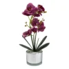 Orchid With Silver Glass Pot - Purple -Garden Furniture Store 12879285 1854864281873732