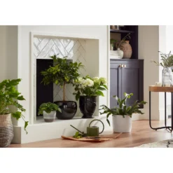 Regent Glazed Urn Planter - 39cm -Garden Furniture Store 12885370 7534948242967890