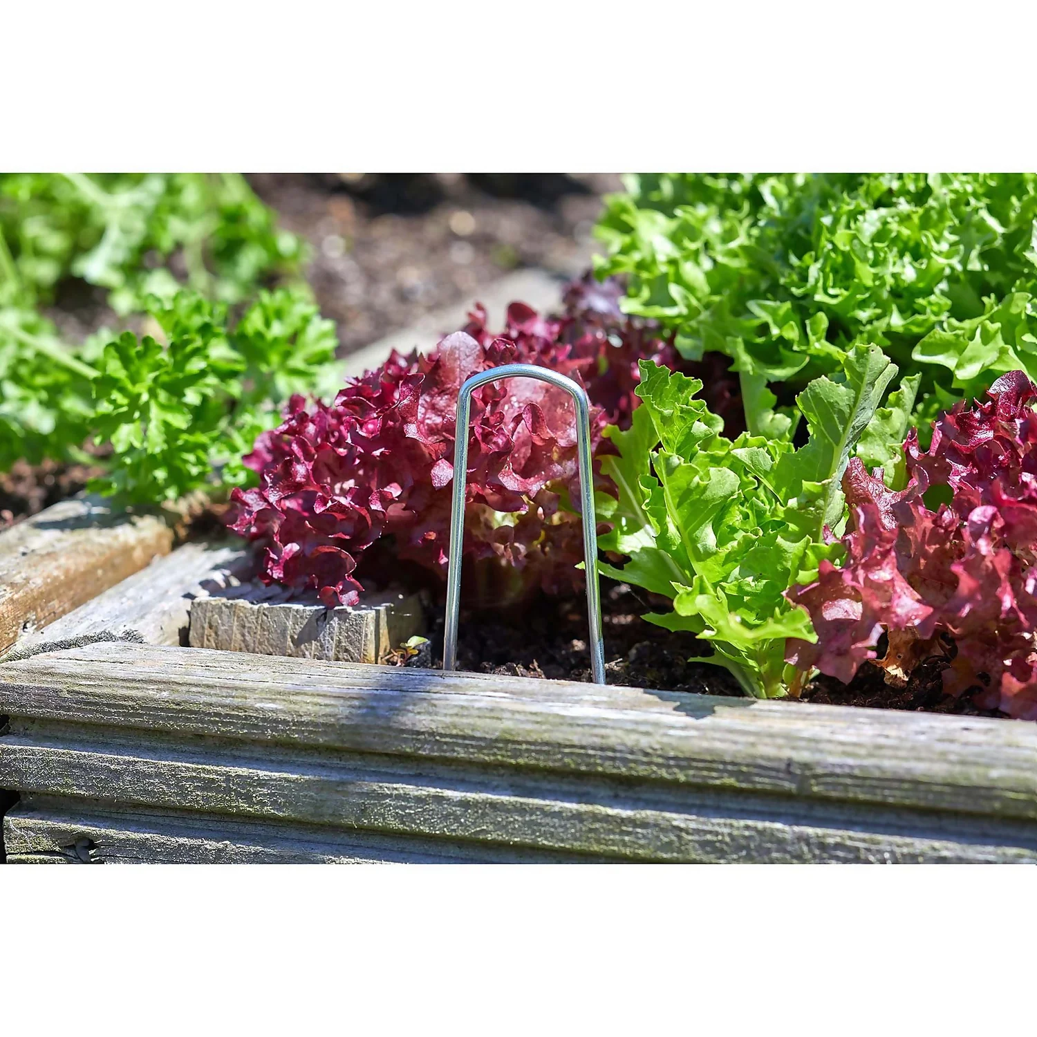 Ground Hooks - 10 Pack 3 Ground Hooks - 10 Pack