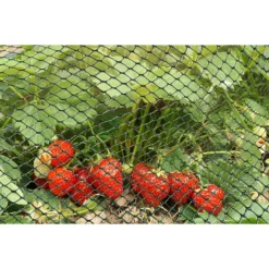 Garden Furniture Store -Garden Furniture Store 12885594 1994856729988195