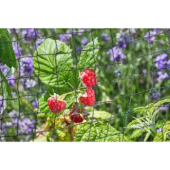 Garden Furniture Store -Garden Furniture Store 12885599 1044856730193560