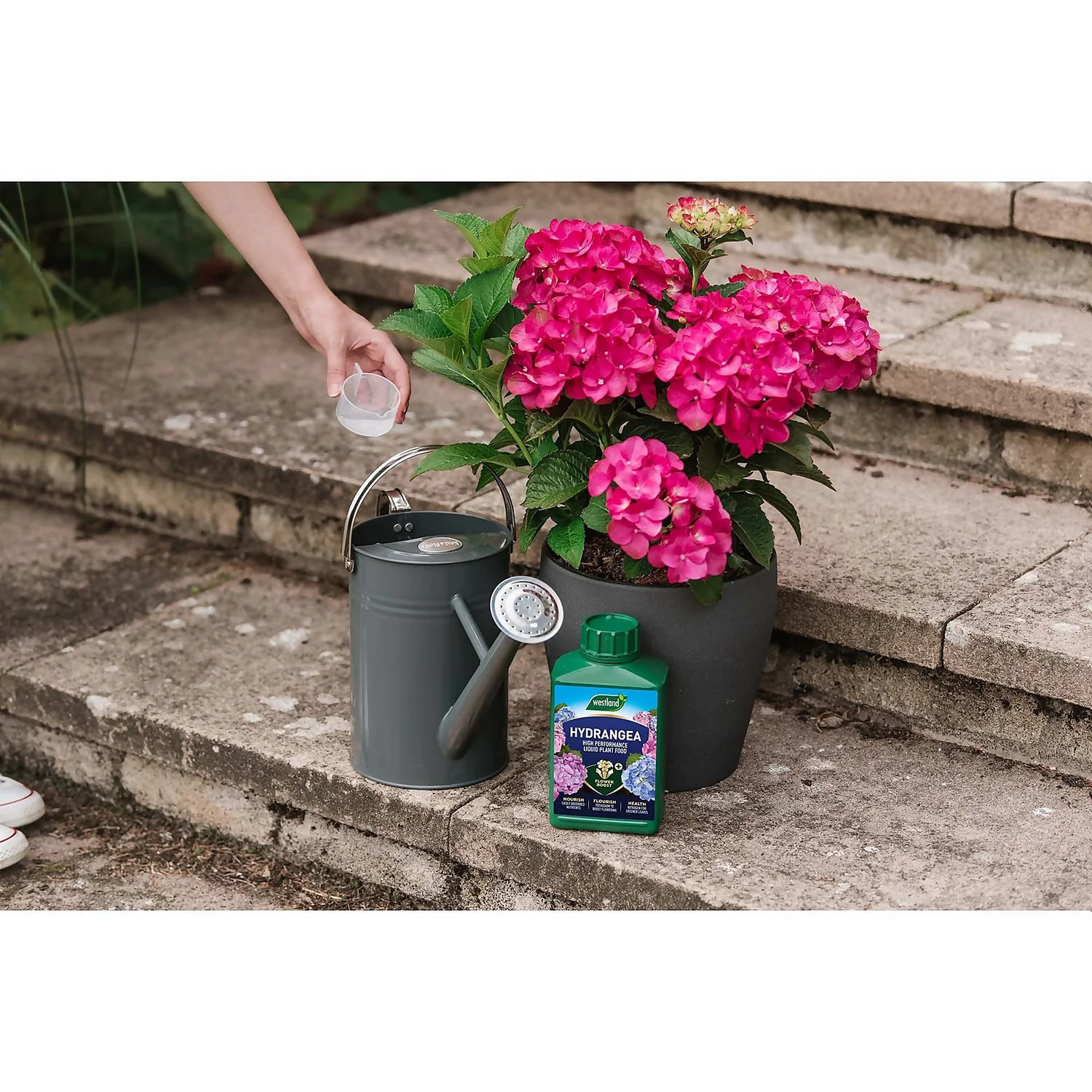 Westland Hydrangea Feed - 1l 7 Westland Hydrangea Feed - 1l - Image 5