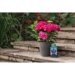 Westland Hydrangea Feed - 1l 11 Westland Hydrangea Feed - 1l -Garden Furniture Store 12886486 5014971590603901