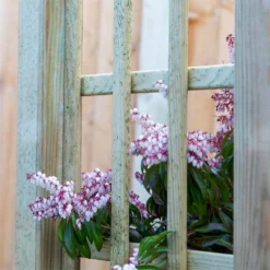 Mercia Curved Arch 9 Mercia Curved Arch -Garden Furniture Store 12888302 6134849860614286