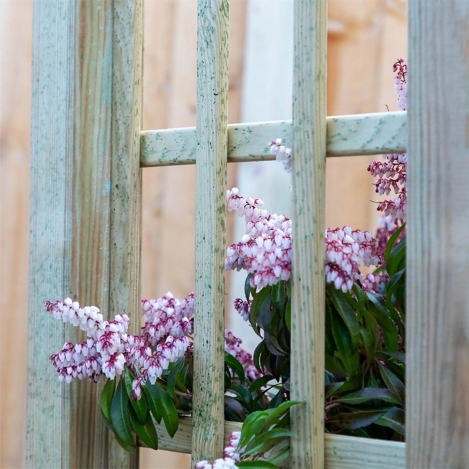 Mercia Curved Arch 5 Mercia Curved Arch - Image 3