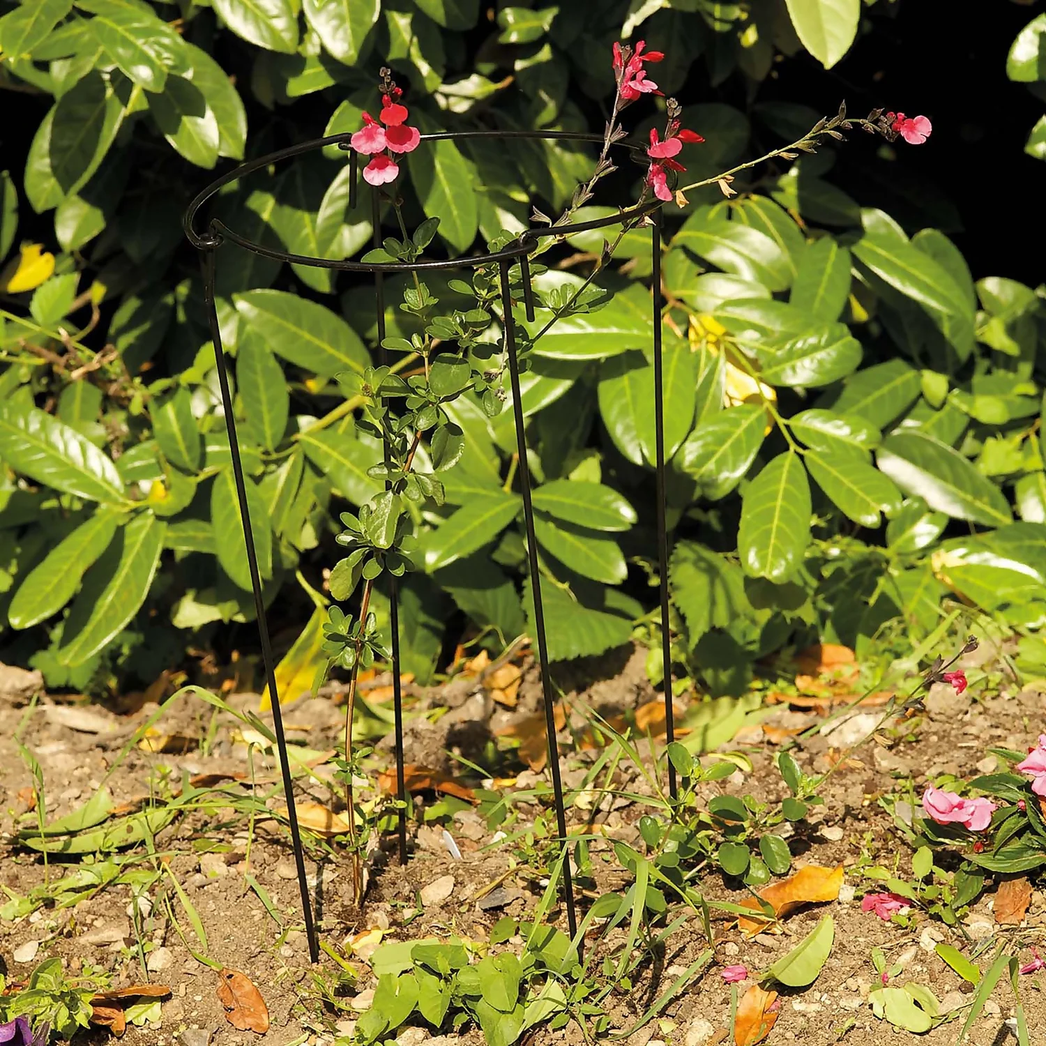 Gro-Links 20cm With 50cm Legs - 4 Pack 4 Gro-Links 20cm With 50cm Legs - 4 Pack - Image 2