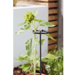 Smart Garden Gro-Stems 3pk 75cm -Garden Furniture Store 12889126 1494856734938990