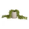 House Beautiful String Of Pearls In Ceramic Pot -Garden Furniture Store 12890040 1854882114529067