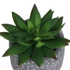 Small Succulent - Grey -Garden Furniture Store 12909500 1734869235660464