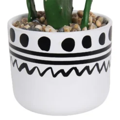 Cactus In Abstract Pot -Garden Furniture Store 12909502 2064869235687110