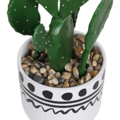 Cactus In Abstract Pot -Garden Furniture Store 12909502 2094869235640256