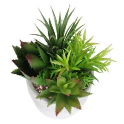 Mixed Succulent In Grey Pot -Garden Furniture Store 12909503 2024869235594281
