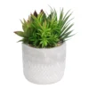 Mixed Succulent In Grey Pot -Garden Furniture Store 12909503 7774869235513008