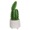 Cactus In Textured Pot -Garden Furniture Store 12909506 1524869235473324