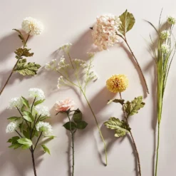 Garden Furniture Store -Garden Furniture Store 12913556 1044857400361646