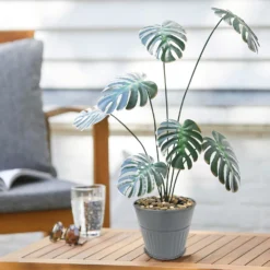 Ribbed Planter (3 Colour Mix) - 12cm 17 Ribbed Planter (3 Colour Mix) - 12cm -Garden Furniture Store 13193954 4474933504214550