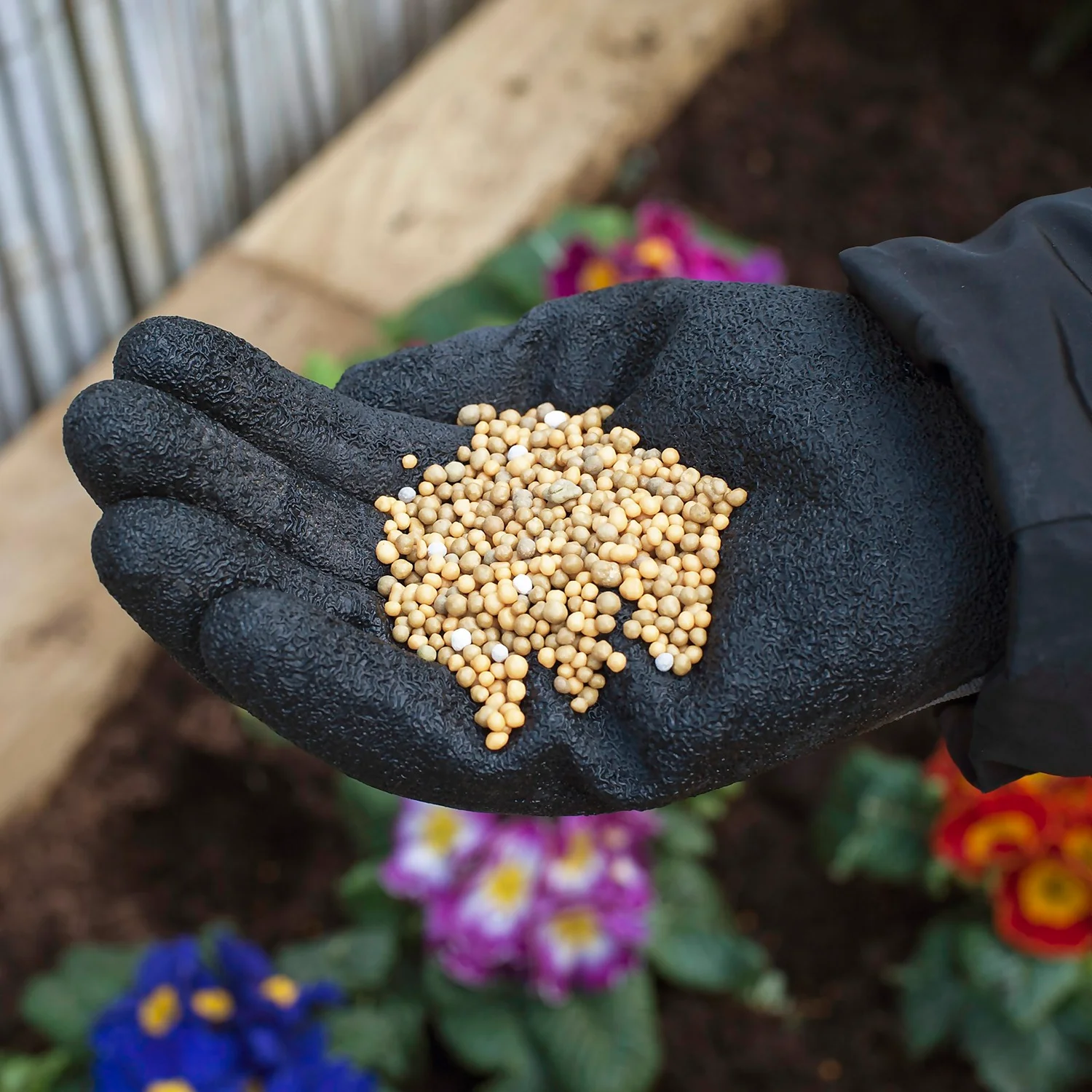 Miracle-Gro Premium All Purpose Continuous Release Plant Food 900G 5 Miracle-Gro Premium All Purpose Continuous Release Plant Food 900G - Image 3