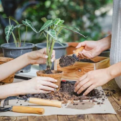 Coco & Coir Round Fibre Pot - 20cm -Garden Furniture Store 13487130 4344931201157651