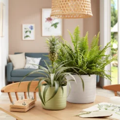 Scheurich Ripple White Indoor Pot - 23cm -Garden Furniture Store 13953262 1584987119918525