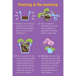 Westland Orchid Potting Mix Peat Free 8L -Garden Furniture Store 14013784 4815003754410304