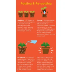 Westland Cacti & Succulent Potting Mix Peat Free 4L -Garden Furniture Store 14013786 1245003754031248