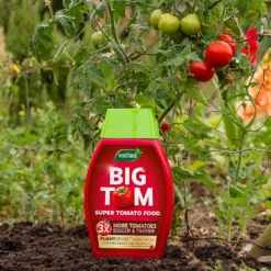 Westland Big Tom Super Tomato Food 9 Westland Big Tom Super Tomato Food -Garden Furniture Store 14013789 1265003754036822