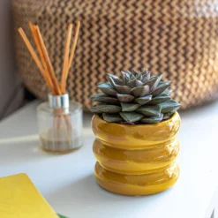 Ribbed Indoor Plant Pot - 11cm -Garden Furniture Store 14197409 1165024191339590