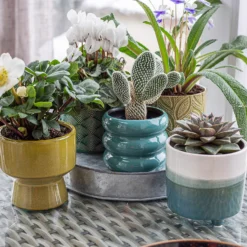 Ribbed Indoor Plant Pot - 11cm -Garden Furniture Store 14197409 2095024191435674