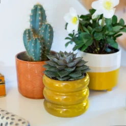 Ribbed Indoor Plant Pot - 11cm -Garden Furniture Store 14197409 5925024191500561