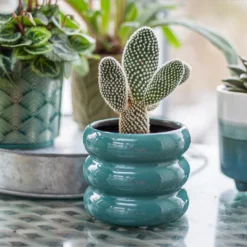 Ribbed Indoor Plant Pot - 11cm -Garden Furniture Store 14197409 6435024191381575